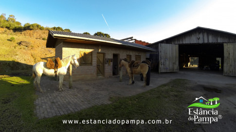 DOS EÓLICOS VIRA P FAZENDA_Moment.00_03_48_22.Quadro404_bbeff9d1af01373013ef9070fa4bb591f65fe684.jpg
